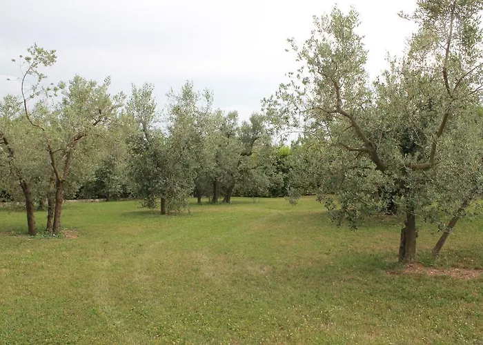 Alojamento de Turismo Rural Piano Grande